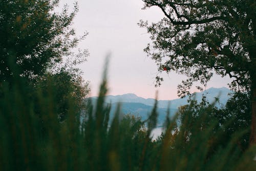 Picturesque scenery of highland behind lake and woodland with lush vegetation in countryside