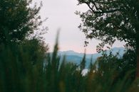 湖后高地风景如画，乡村植被茂盛