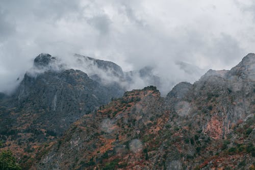 Скалистые горы с растениями в облаках