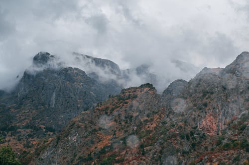 Montagnes Rocheuses Avec Des Plantes Dans Les Nuages