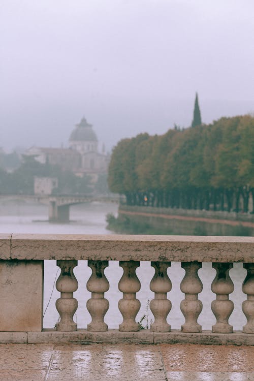 View from embankment with fence on green trees and bridge with historic buildings in old city