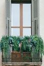Balcony in old building with plants