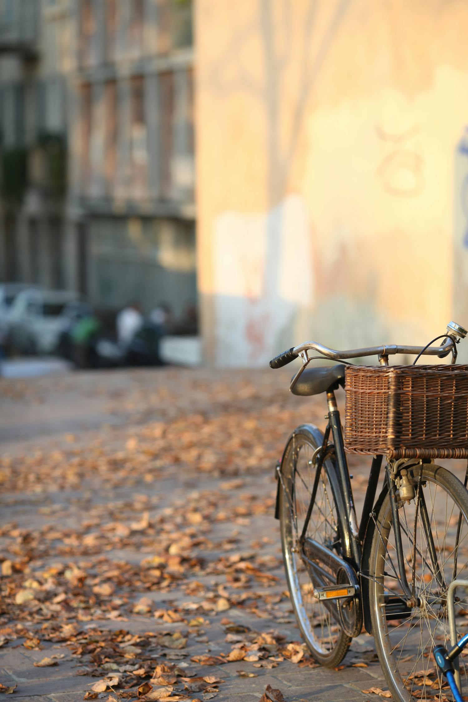 bicycle-parked-on-town-street-covered-with-fallen-autumn-leaves-free
