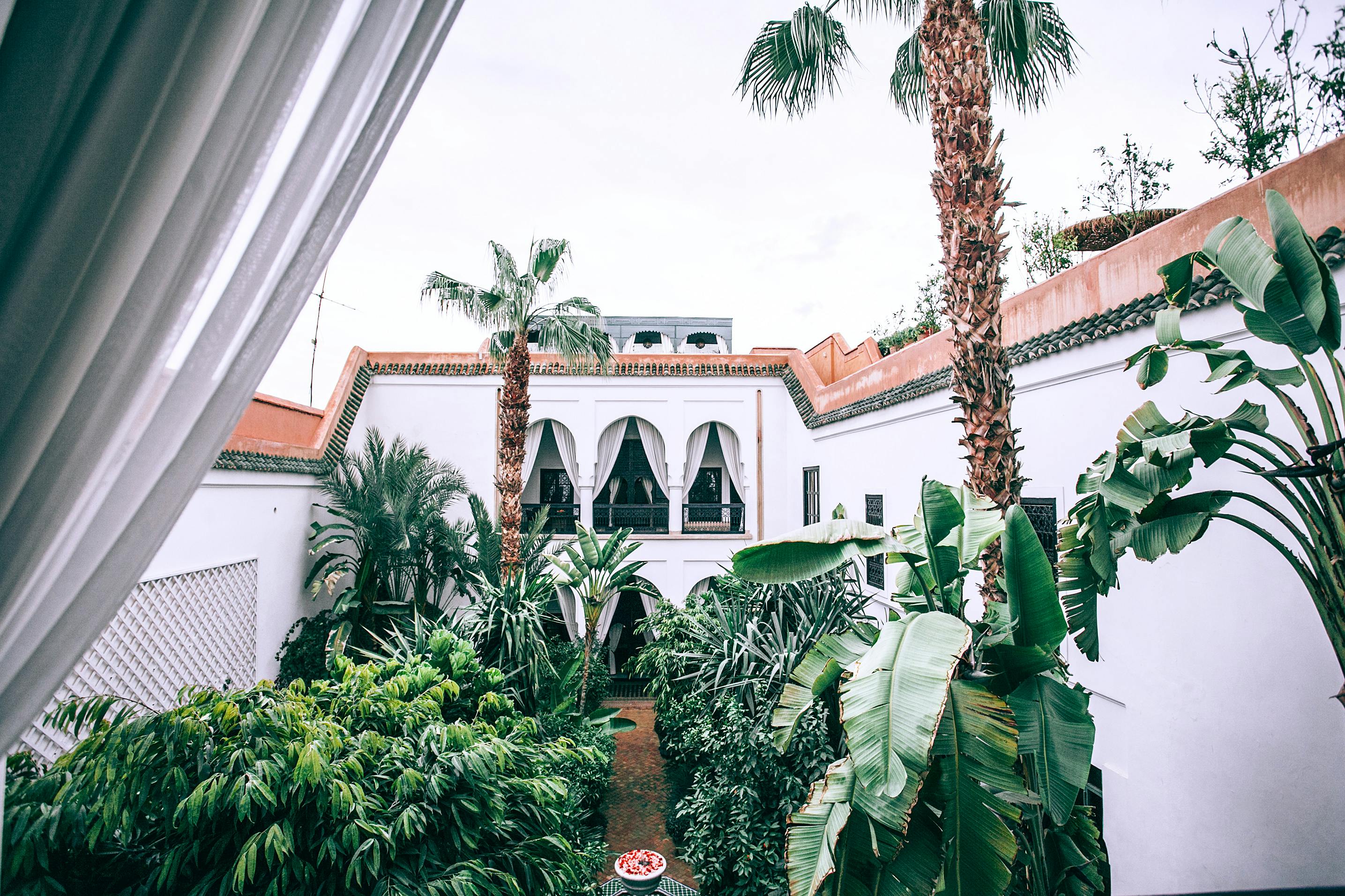 white mansion patio with lush topical trees