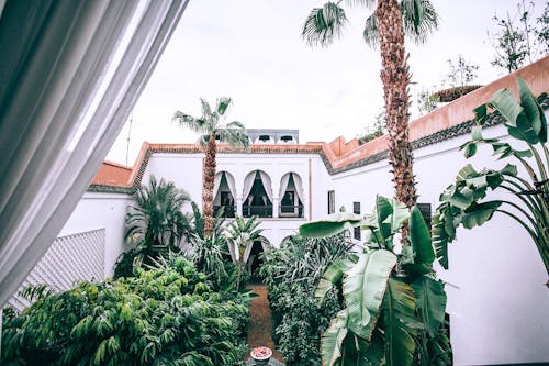 White mansion patio with lush topical trees