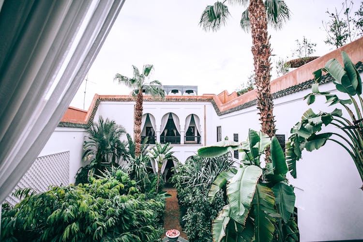 White Mansion Patio With Lush Topical Trees