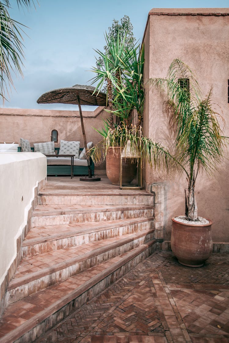 Exotic Plants On Stairs On Street