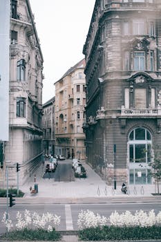 白天，空荡荡的铺砌小巷上，中世纪建筑立面中央停着汽车