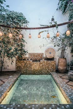 Interior of vintage patio decorated with plants in pots and green exotic trees with pool decorated with ornaments in summer time