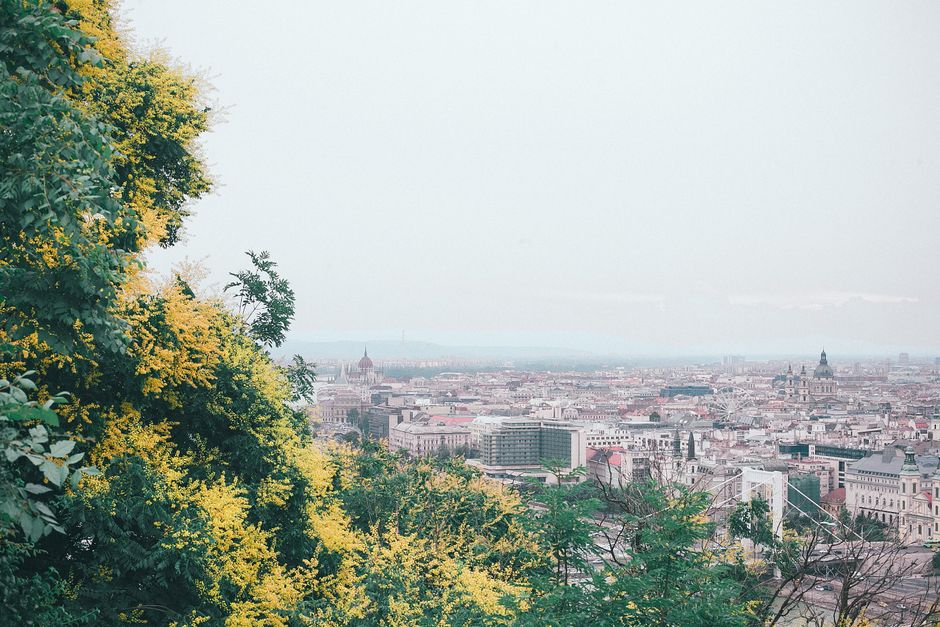 Amazing cityscape from hill surrounded with green trees located in Budapest in Hungary with cloudless sky in sunny summer day