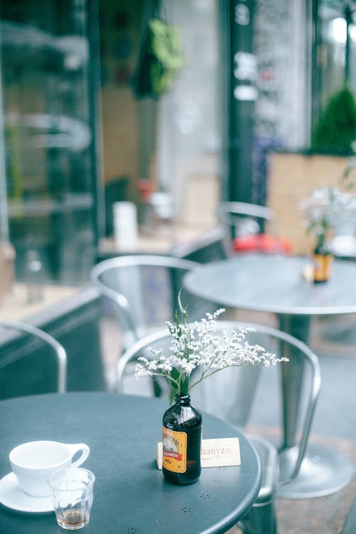 Free Table decorated with glass vase with fresh flowers and cup of drink located in outside cafeteria in daytime Stock Photo