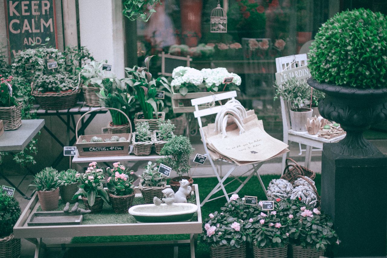 assorted green plants with blossoming flowers in pots with price tags