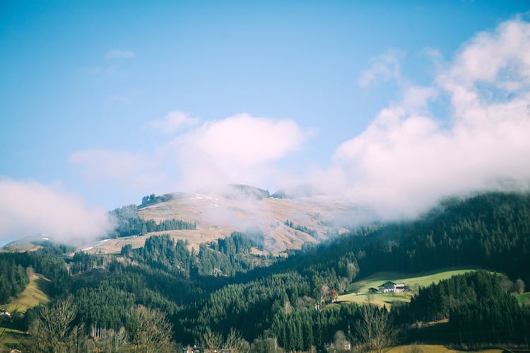 Mountain With Lush Trees Under Blue Cloudy Sky In Fog