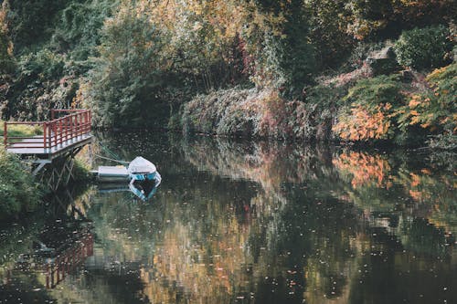 Barco Atracado Em Lago Cercado Por Uma Floresta Exuberante De Outono