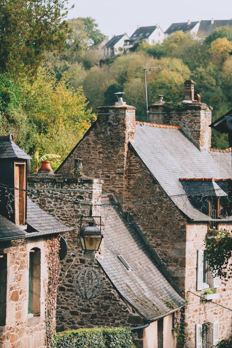 Authentic Medieval Houses Surrounded By Lush Trees In Town