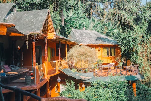 Exterior of cozy villa with spacious veranda located in lush green tropical forest on sunny day in Thailand