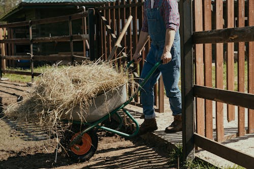 Man in Blue Denim Jeans and Blue Shirt Holding Brown Wooden Wheel Barrow