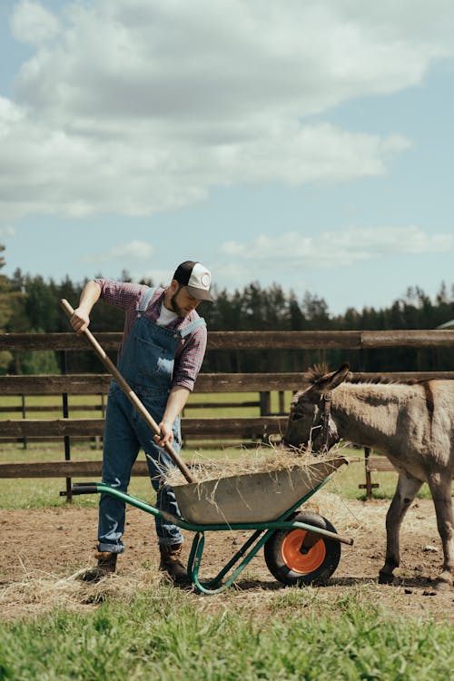 Man in Blue Jacket Riding on Brown Horse