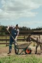 Man in Blue Jacket Riding on Brown Horse