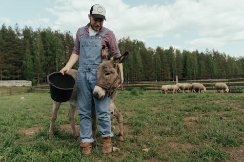 Foto profissional grátis de agricultor, animais de estimação, animal de estimação