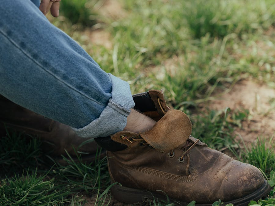 What herbs boost fertility in men?
