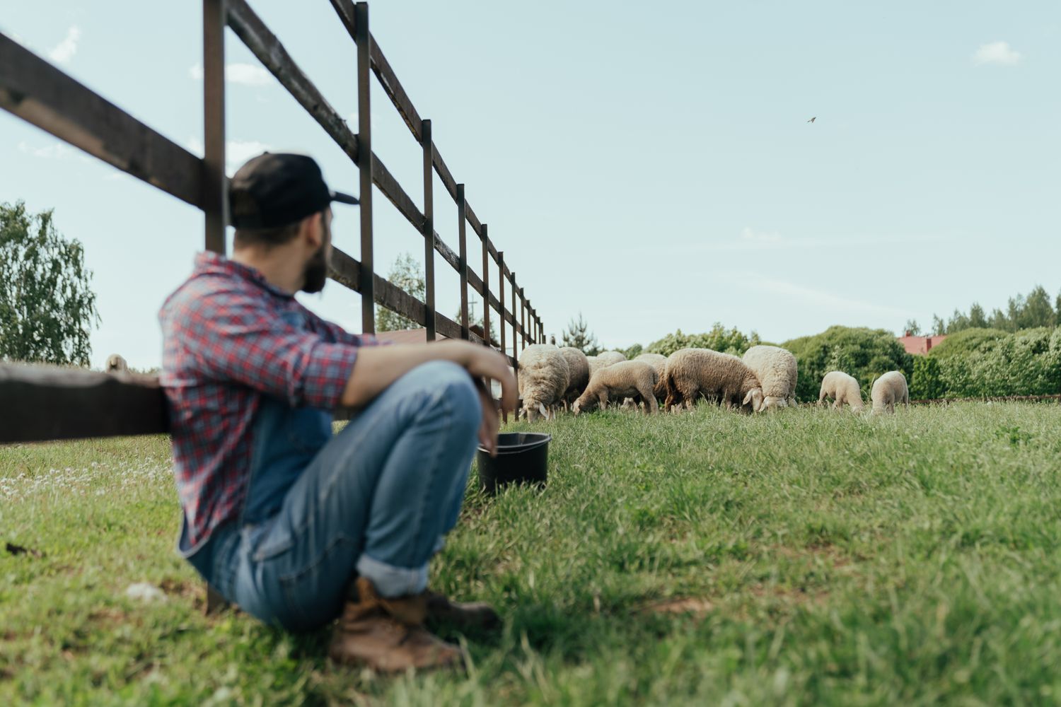 Farm Break Photos, Download The BEST Free Farm Break Stock Photos & HD ...