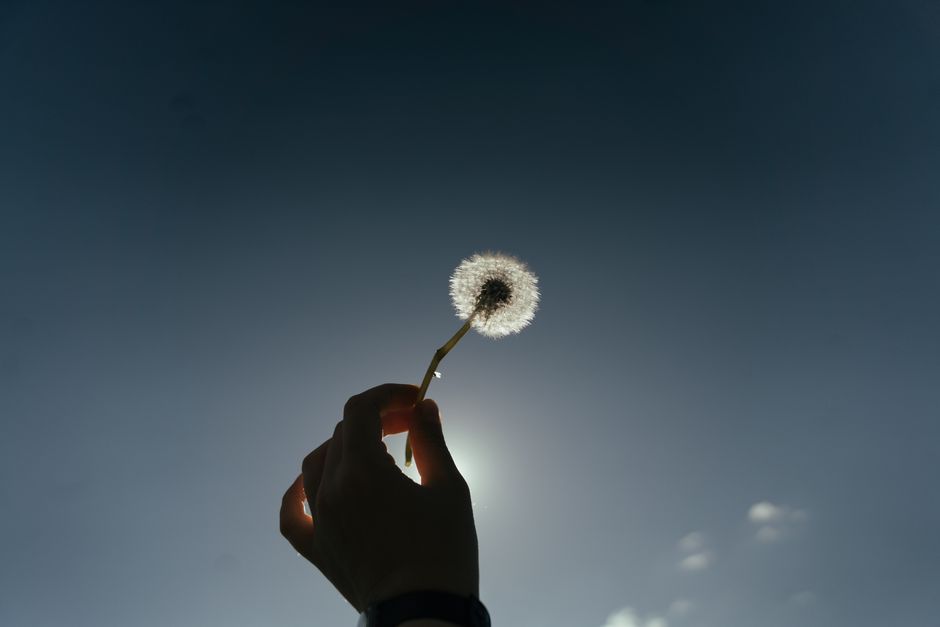 A dandelion held against a clear blue sky, capturing the essence of summer and nature.