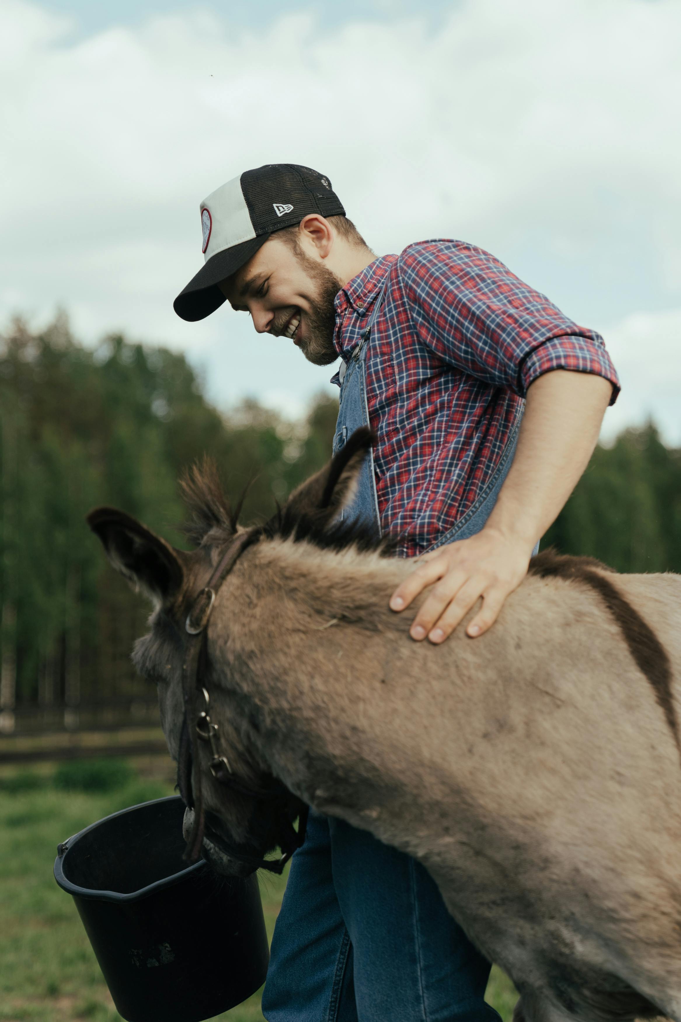 Man in Blue and White Checkered Button Up Shirt Riding on Brown Horse