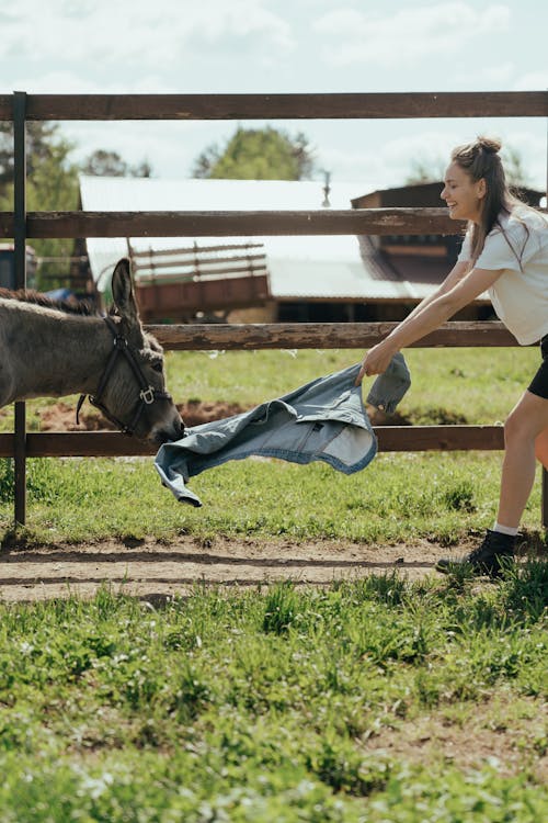 Woman in White T-shirt and Blue Denim Jeans Riding Black Horse