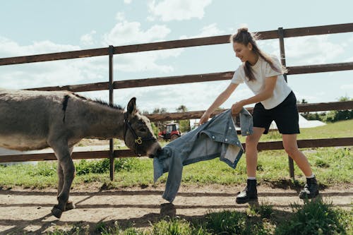 Woman in White T-shirt and Blue Denim Jeans Standing Beside Horse