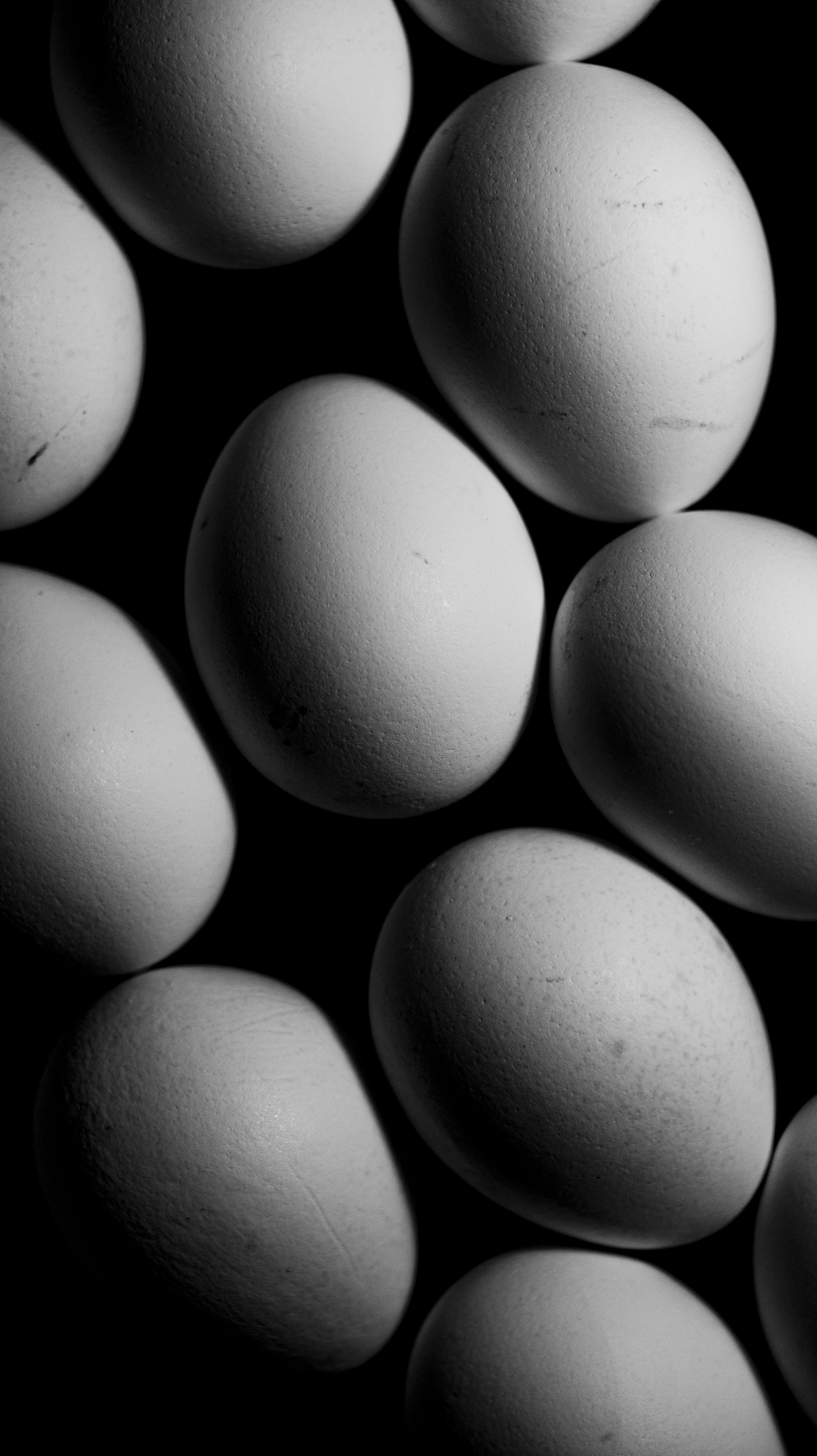 ฟรี คลังภาพถ่ายฟรี ของ กราฟิก, การถ่ายภาพ, การถ่ายภาพหุ่นนิ่ง คลังภาพถ่าย