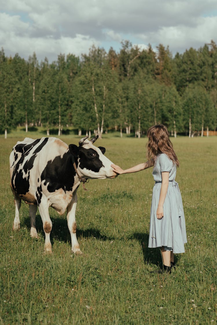 Girl In Blue Dress Standing Beside Cow On Green Grass Field