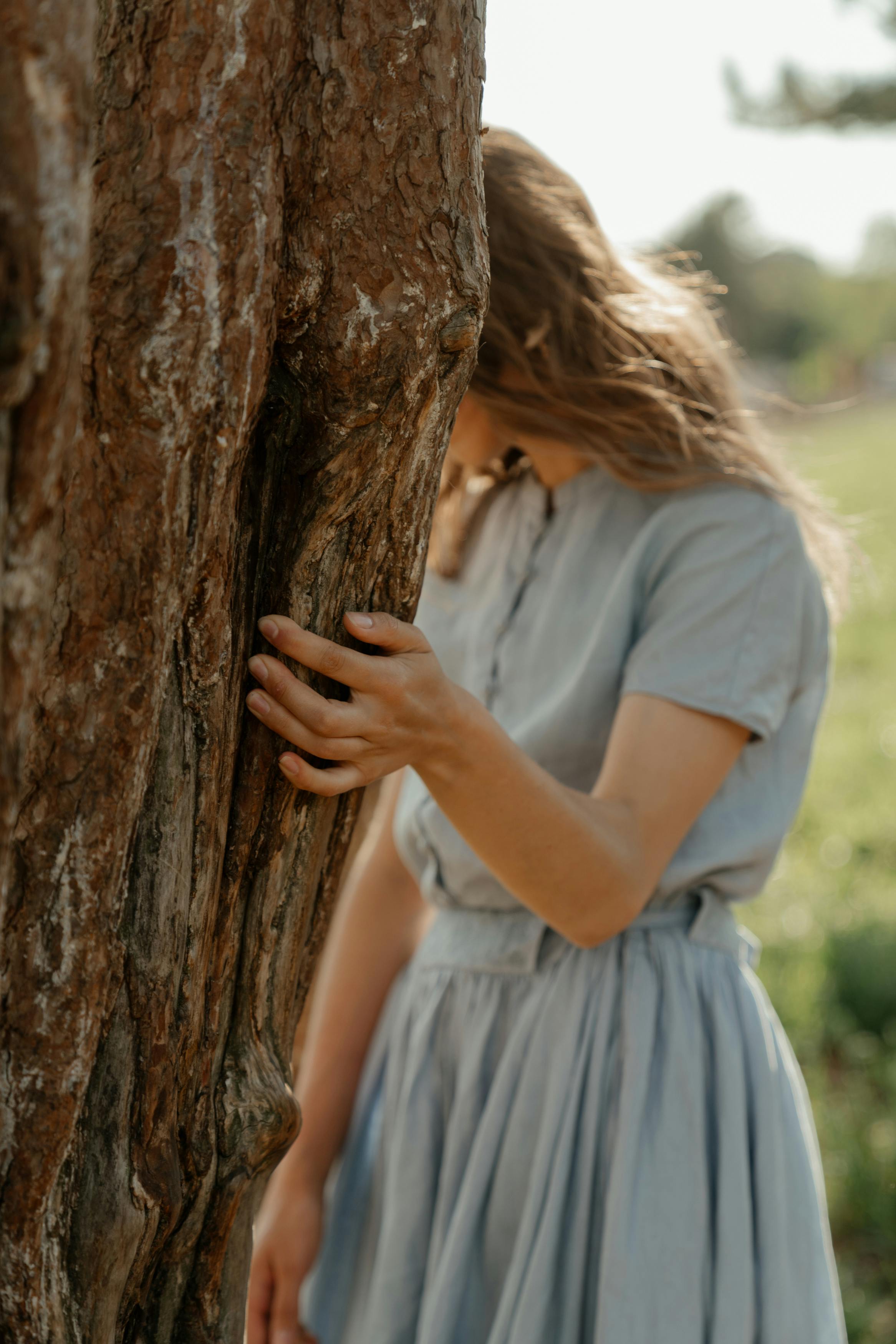 宁静的乡村里，一名身穿蓝色连衣裙的女子正轻抚着一棵树