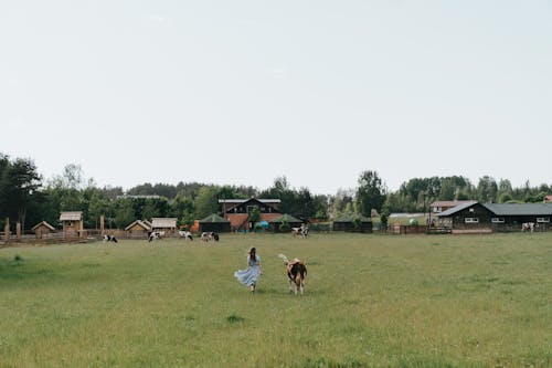 People on Green Grass Field