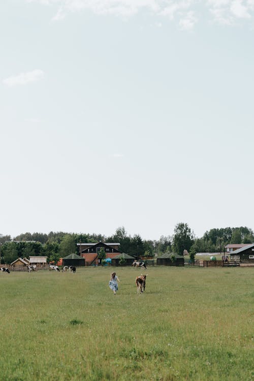 People on Green Grass Field