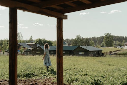 Základová fotografie zdarma na téma bornyard, dvůr, farma