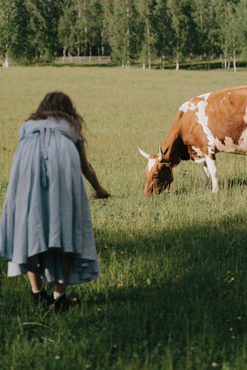 Woman in Gray Long Sleeve Dress Standing Beside Brown and White Cow on Green Grass Field