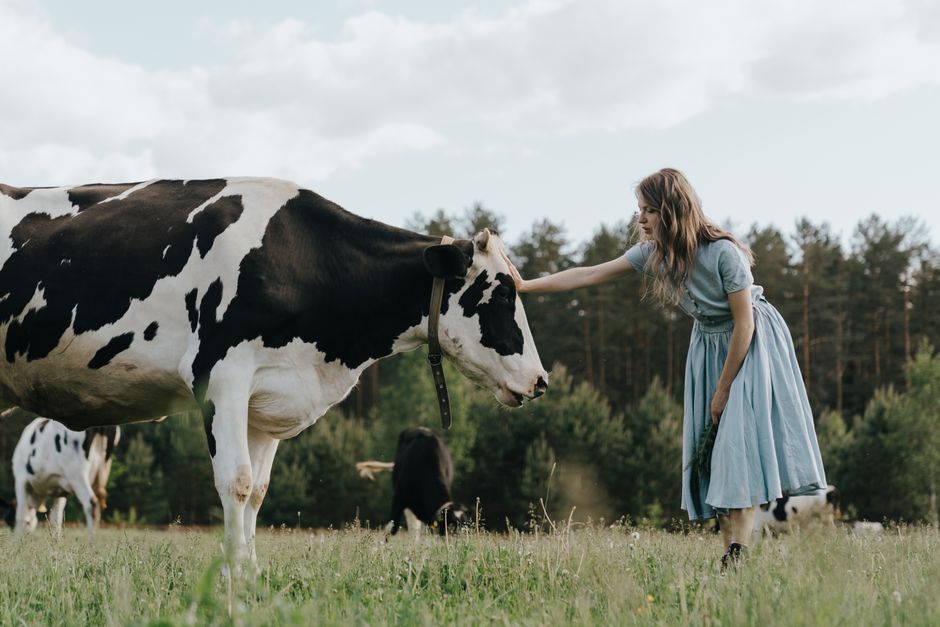 Girl In Farm 200,000+ Best Farm Girl Photos · 100% Free Download · Pexels Stock Photos