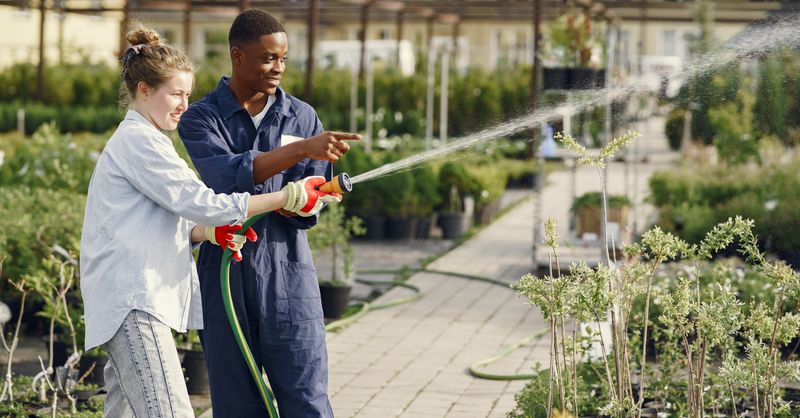 Comment bien arroser son jardin en été ? Le guide complet