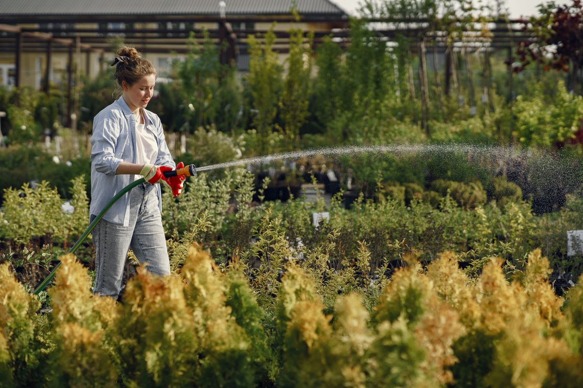 Plantes de plein soleil sans arrosage : le guide d'entretien - Préparer le terrain avant de créer un jardin sec