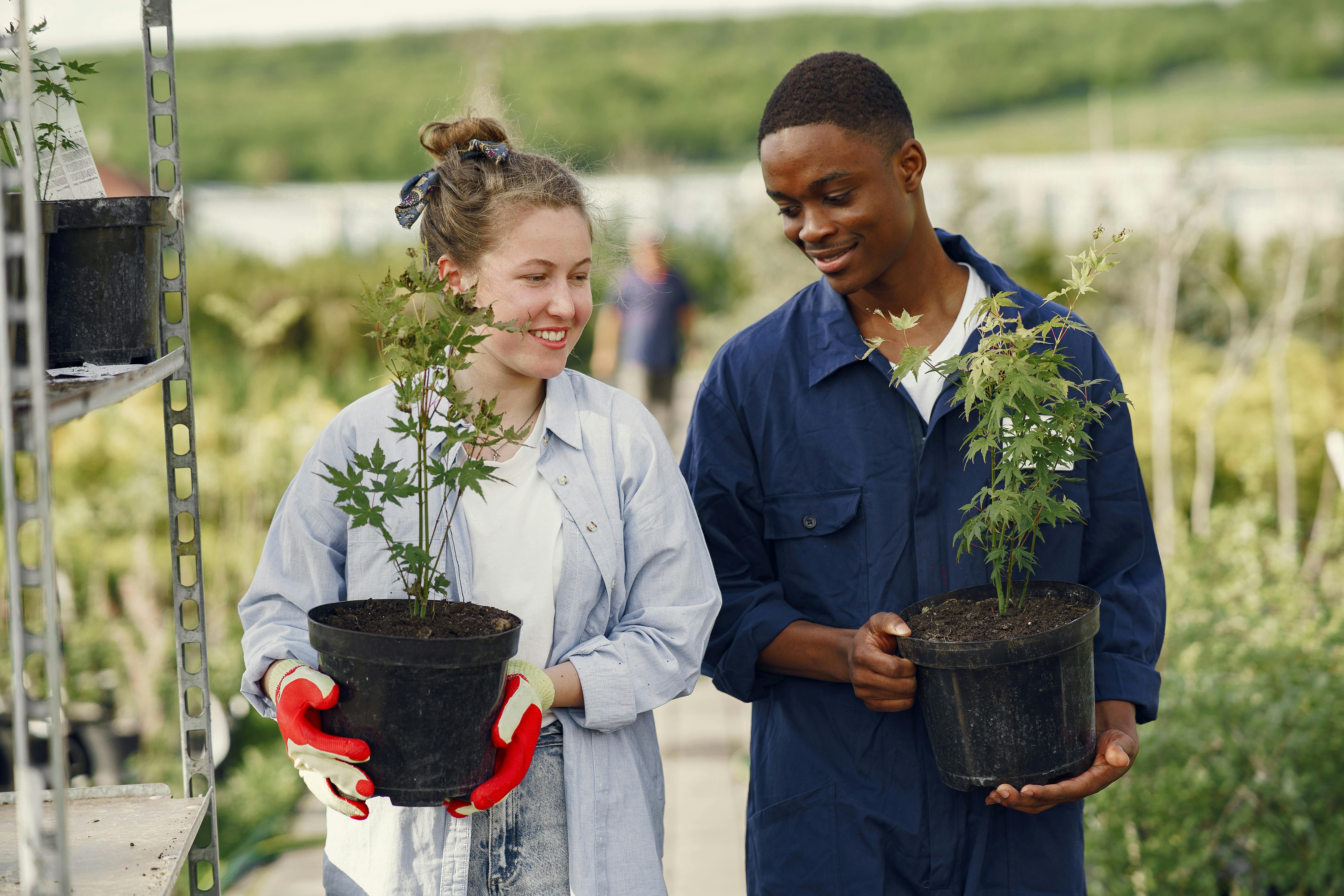 The 28 best gardening tools, according to expert gardeners — Photo by Gustavo Fring on Pexels