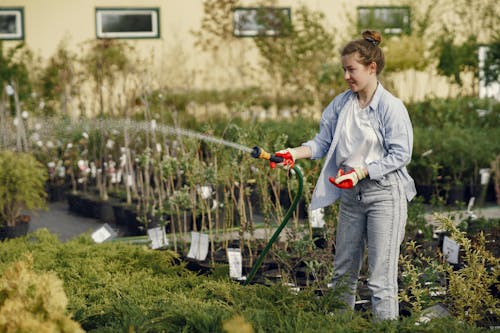 Gratis stockfoto met blanke vrouw, fabrieken, horticultuur