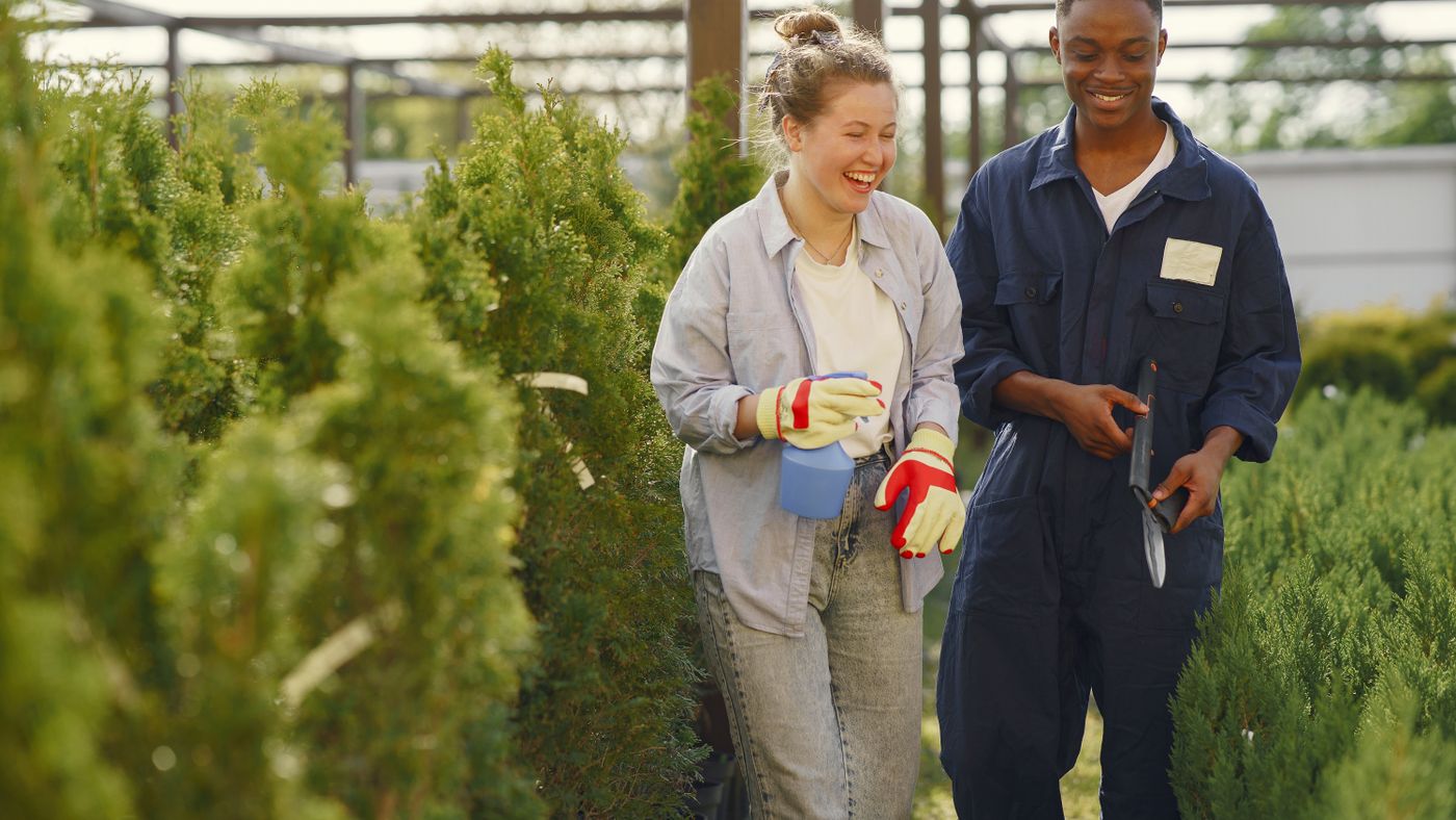 The One Gardening Rule That Matters Most: Moderation