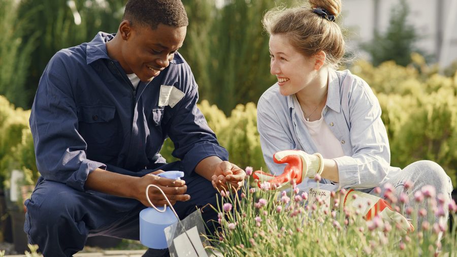 The Garden Tools Every Gardener Actually Needs (and the Junk)