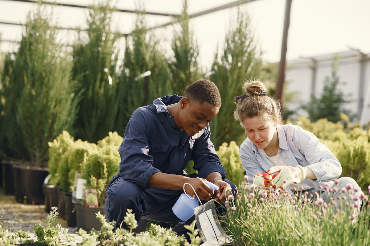 People gardening together in a sustainable community, illustrating ecovillage and permaculture volunteering