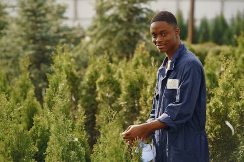 Free Shallow Focus Photo of Man Taking Care of the Plants Stock Photo