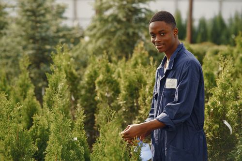 Free Smiling young gardener tending plants outdoors with care. Stock Photo