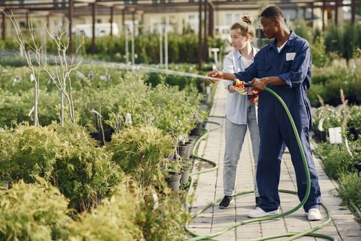 Two gardeners watering plants in a greenhouse, promoting teamwork and horticulture care.