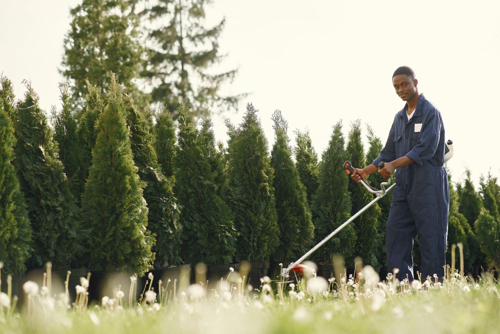 Greenline Landscapes — Planting