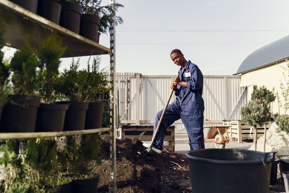 Debunking 4 Garden Myths: Truths Every Nigerian Gardener Should Know